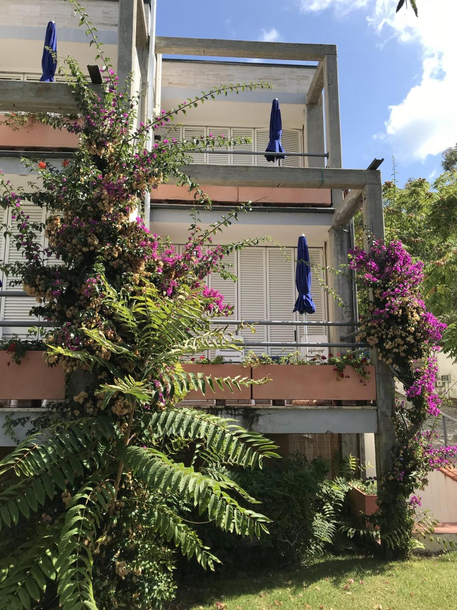 Hotel Viticcio Portoferraio Habitación foto